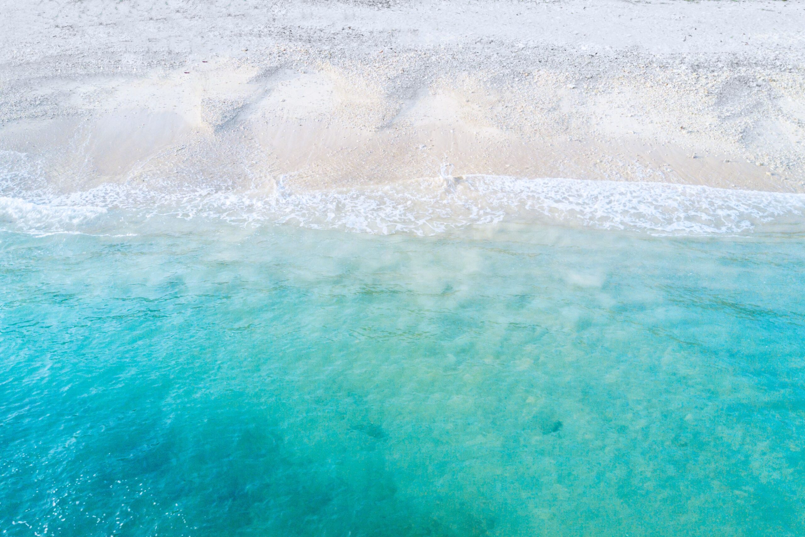 Company — lapisea